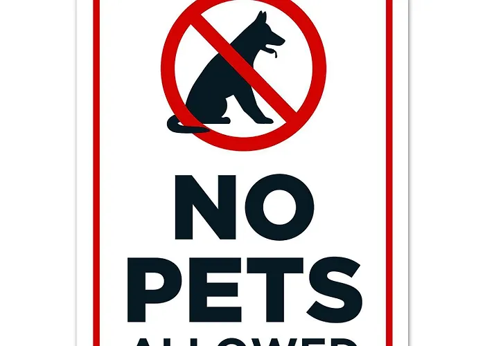 Costa Blanca Jardin Frente Piscina 4 Personas #prp001 By Orihuela Costa * Torrevieja